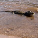 Photo taken by Sandra B