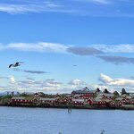 Photo taken by Susan K