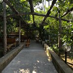 Photo taken by Martha D