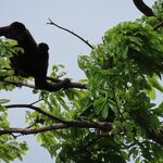 Photo taken by Pat K