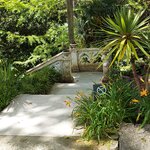 Photo taken by Mike T