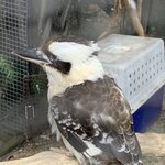 Photo taken by Julie H