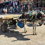 Photo taken by Raelene S