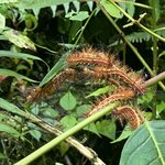 Photo taken by Donna G