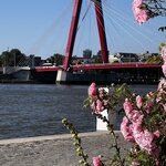 Photo taken by Martin D