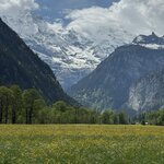 Photo taken by Laura H