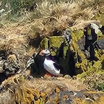 Photo taken by Mark P