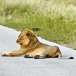 Photo taken by Peter L