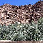 Photo taken by Logan J