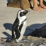 Photo taken by Crystall P