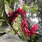 Photo taken by Cindy R