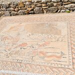 Photo taken by SARMA M