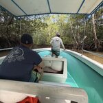 Photo taken by Dana F