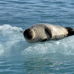 Photo taken by Dawn S