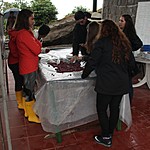 Photo taken by Marcia G