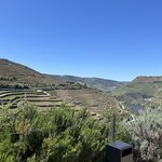 Photo taken by Stanley C