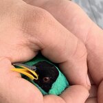 Photo taken by Karen P