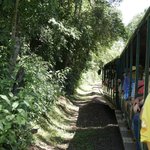 Photo taken by Deborah M