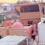 Photo taken by Patricia O