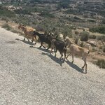 Photo taken by Jenifer B