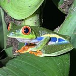 Photo taken by Sara W