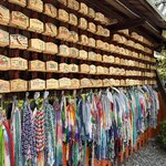 Photo taken by Maddie C