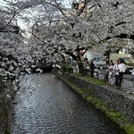 Photo taken by Larry B