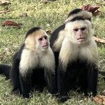 Photo taken by Randy H