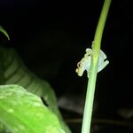 Photo taken by Morton A