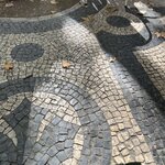 Photo taken by Dee C