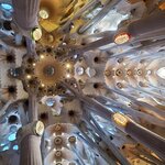 Photo taken by Bailey W