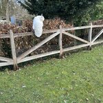 Photo taken by Lucia M