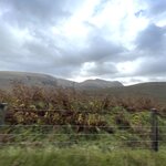 Photo taken by David L