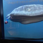 Photo taken by Janice R