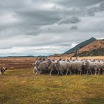 Photo taken by timothy m