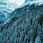 Photo taken by Deirdre H