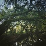 Laguna La Poza | Photo taken by Beth S