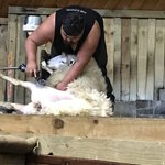 Photo taken by Alfredo H