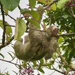 Photo taken by KLAUS A