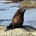 Photo taken by Jessee H