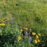 Photo taken by Amy W