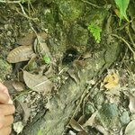 Photo taken by Camille S