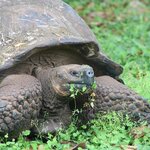 Photo taken by Carla C