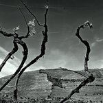 Photo taken by Jon C