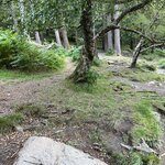 Photo taken by Kerrick M