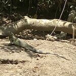 Photo taken by Donna G