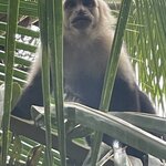 Photo taken by Lisa M