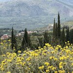 Photo taken by Chantal M