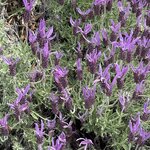 Photo taken by kevin c