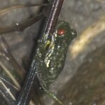 Photo taken by Marc A